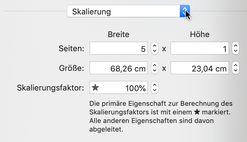 Druckmenü:Skalierung