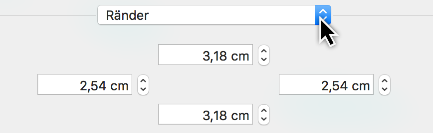 Druckmenü:Ränder