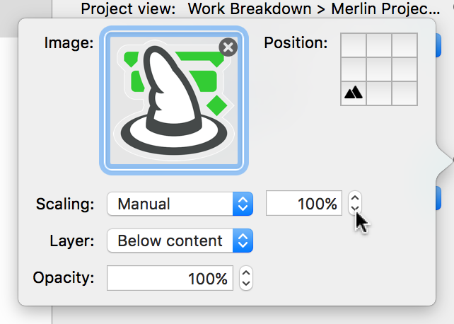 Export:Image Manual Watermark Scaling