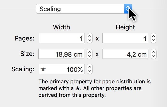 Print Menu:Scaling