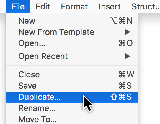 File > Duplicate