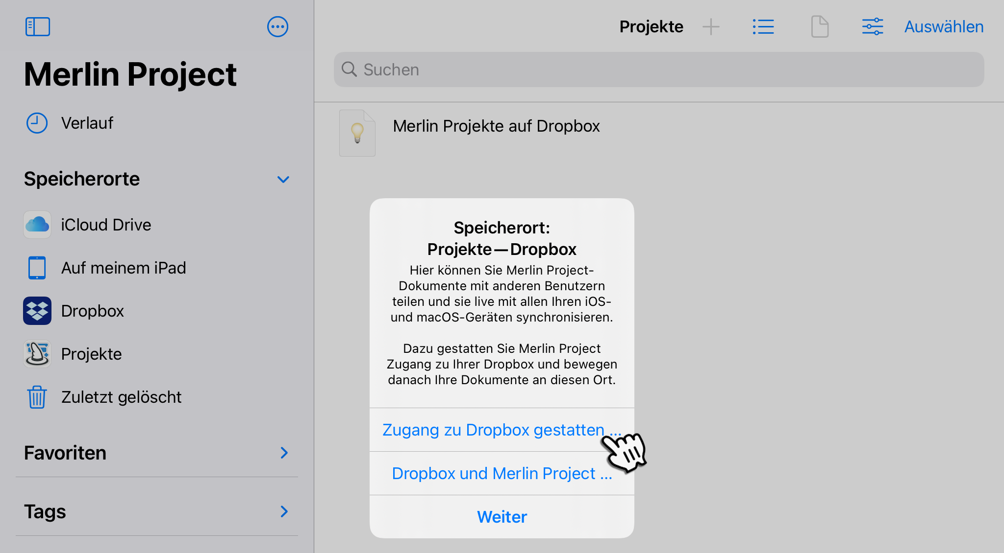 iPad:Projekt - Dropbox Allow Access