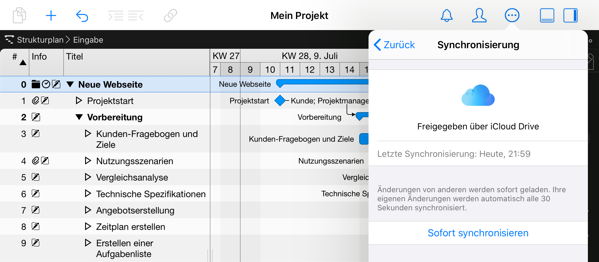 iPad:Einstellungen Sync Server