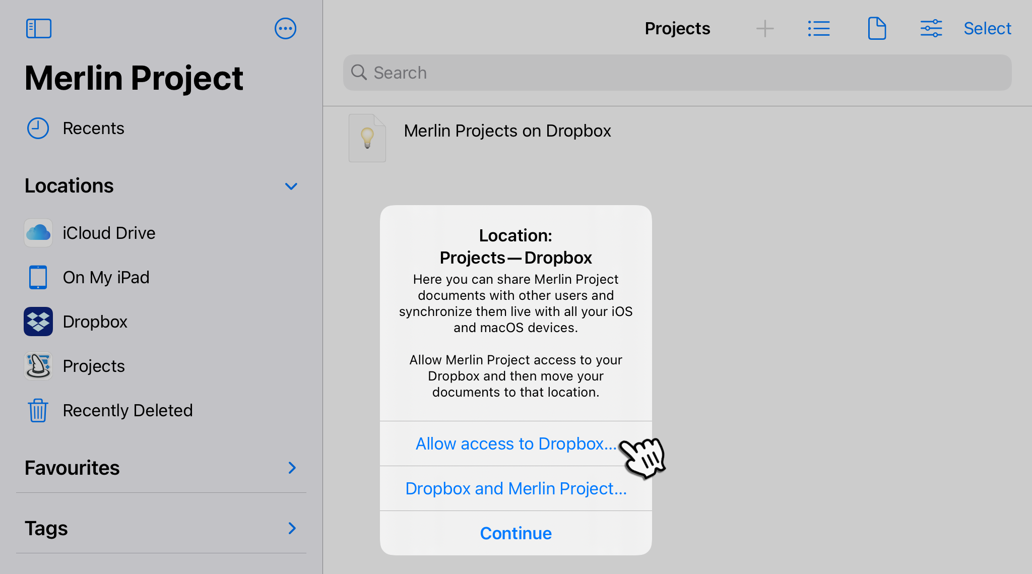 iPad:Project - Dropbox Allow Access