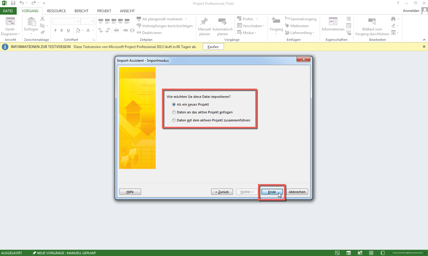 Import in MS Project Import in MS Project