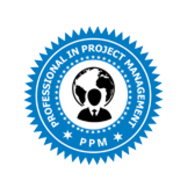 Professional in Project Management Professional in Project Management