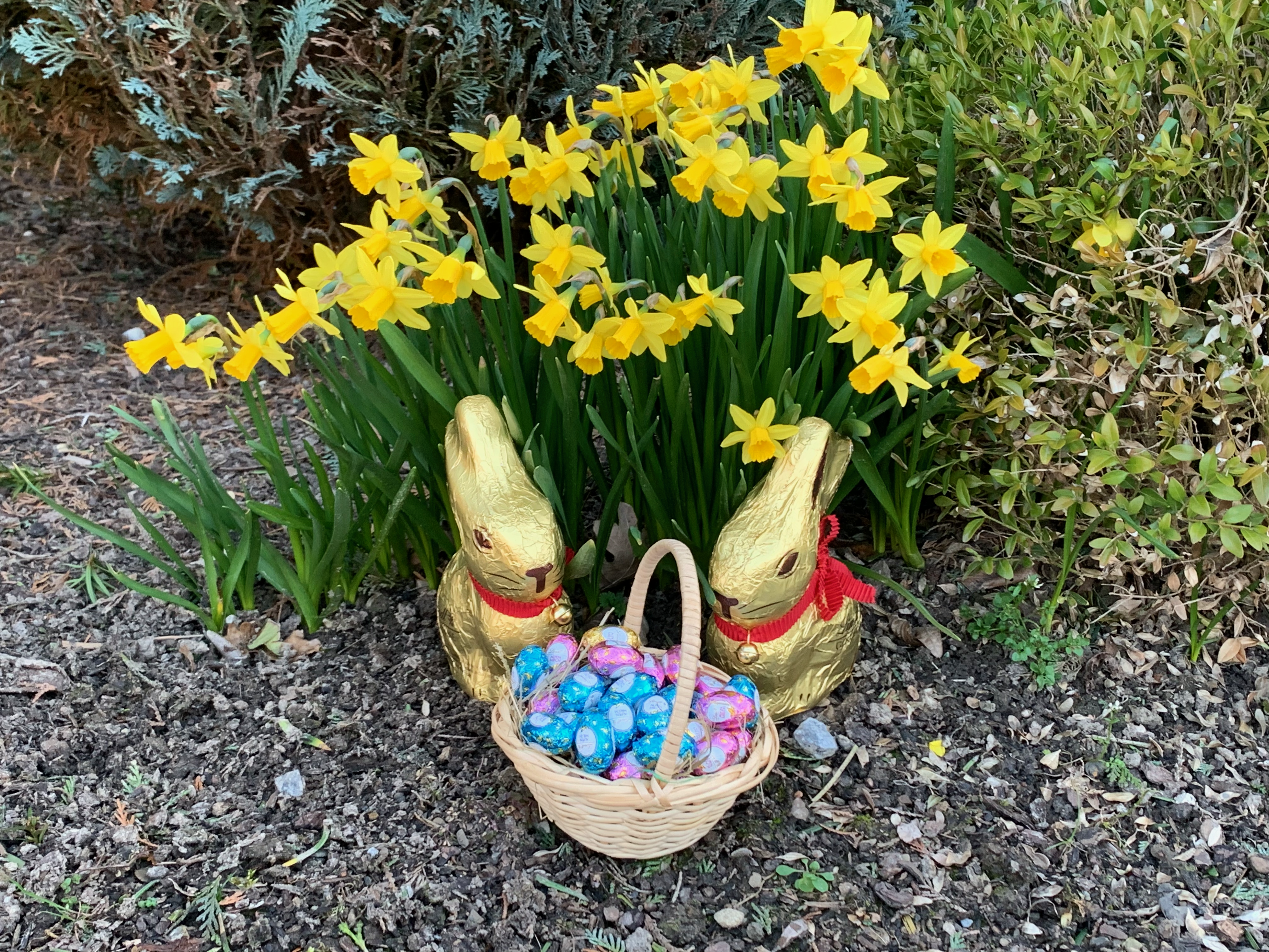 Frohe Ostern Frohe Ostern