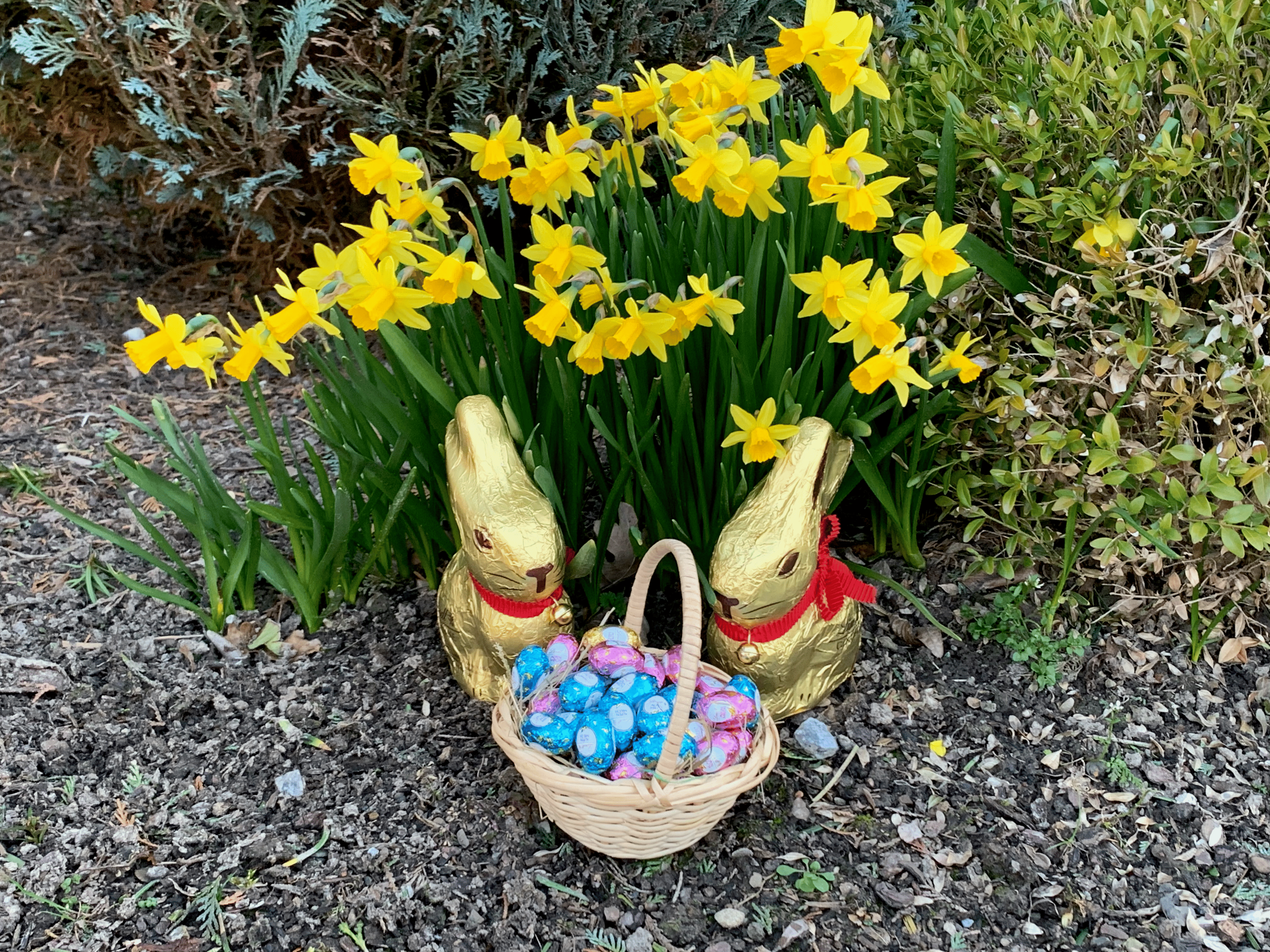 Happy Easter! Happy Easter!