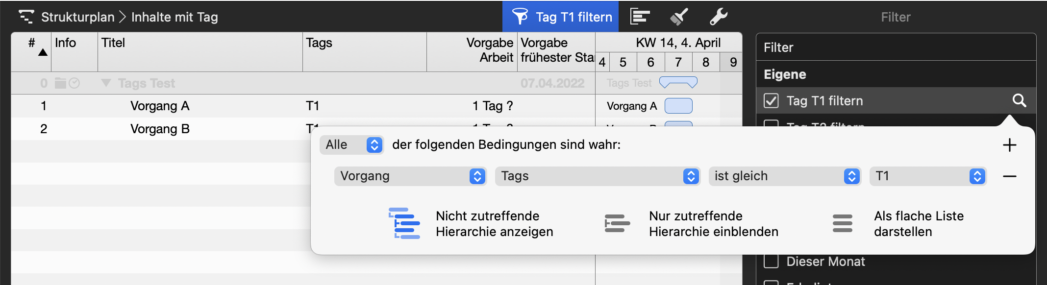 Merlin Project - Filter T1 Optionen