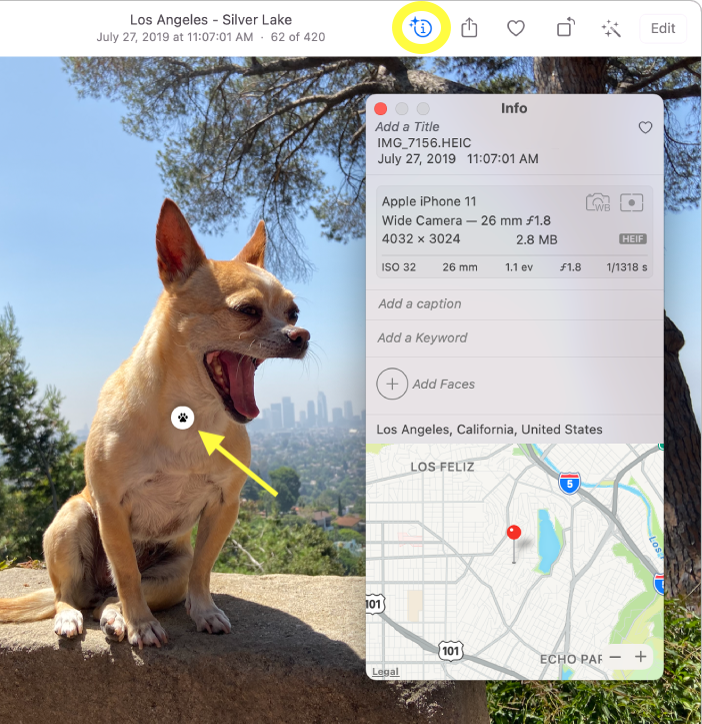 Visual Lookup Mac