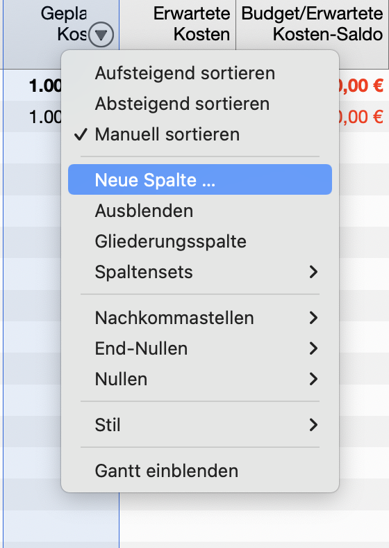Budgetierungsansicht Budgetierungsansicht