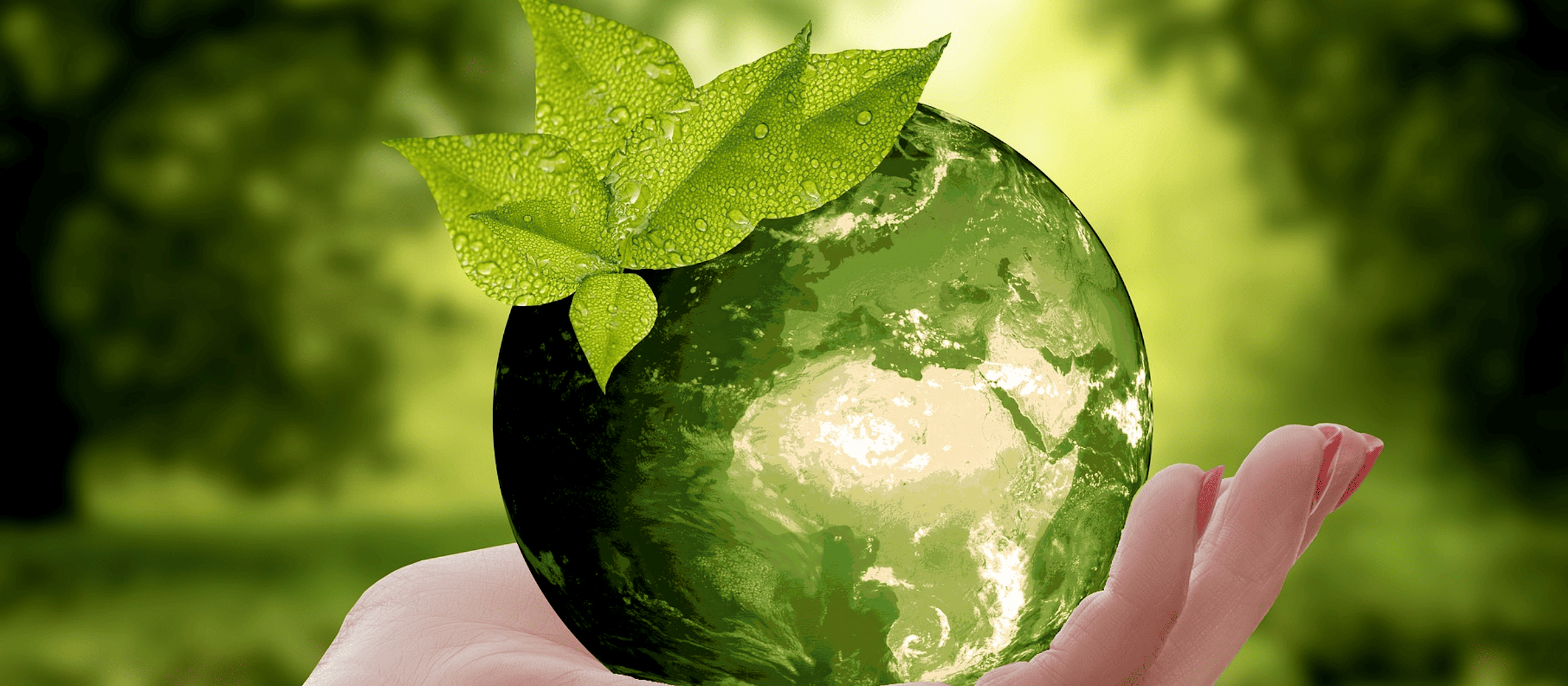 Sustainability in project management Sustainability in project management