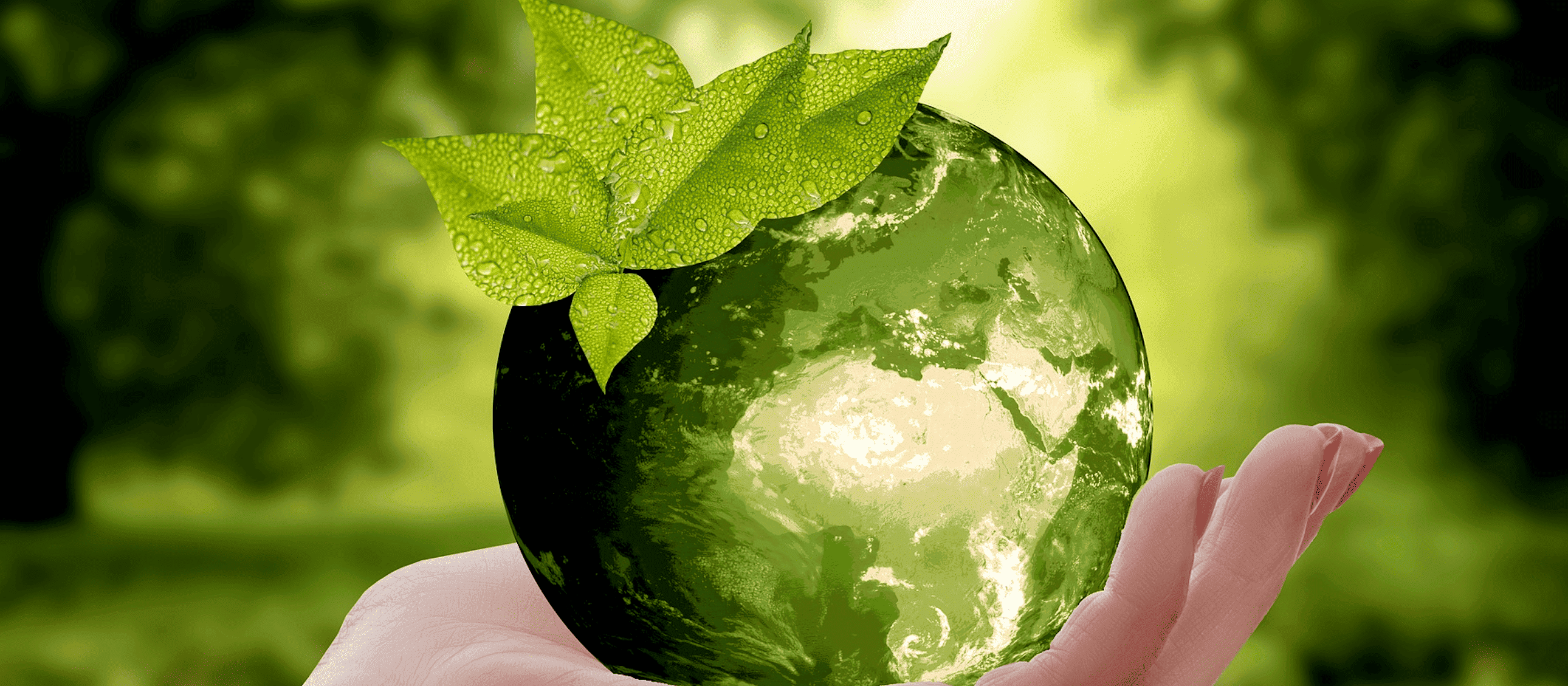 Sustainability in project management