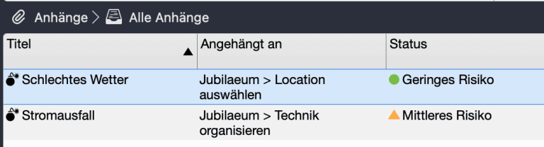 Risikomanagement in Merlin Project