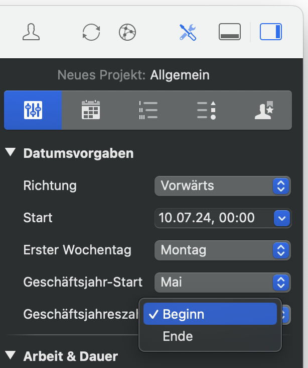 Der Inspektor für Projekteinstellungen in Merlin Project