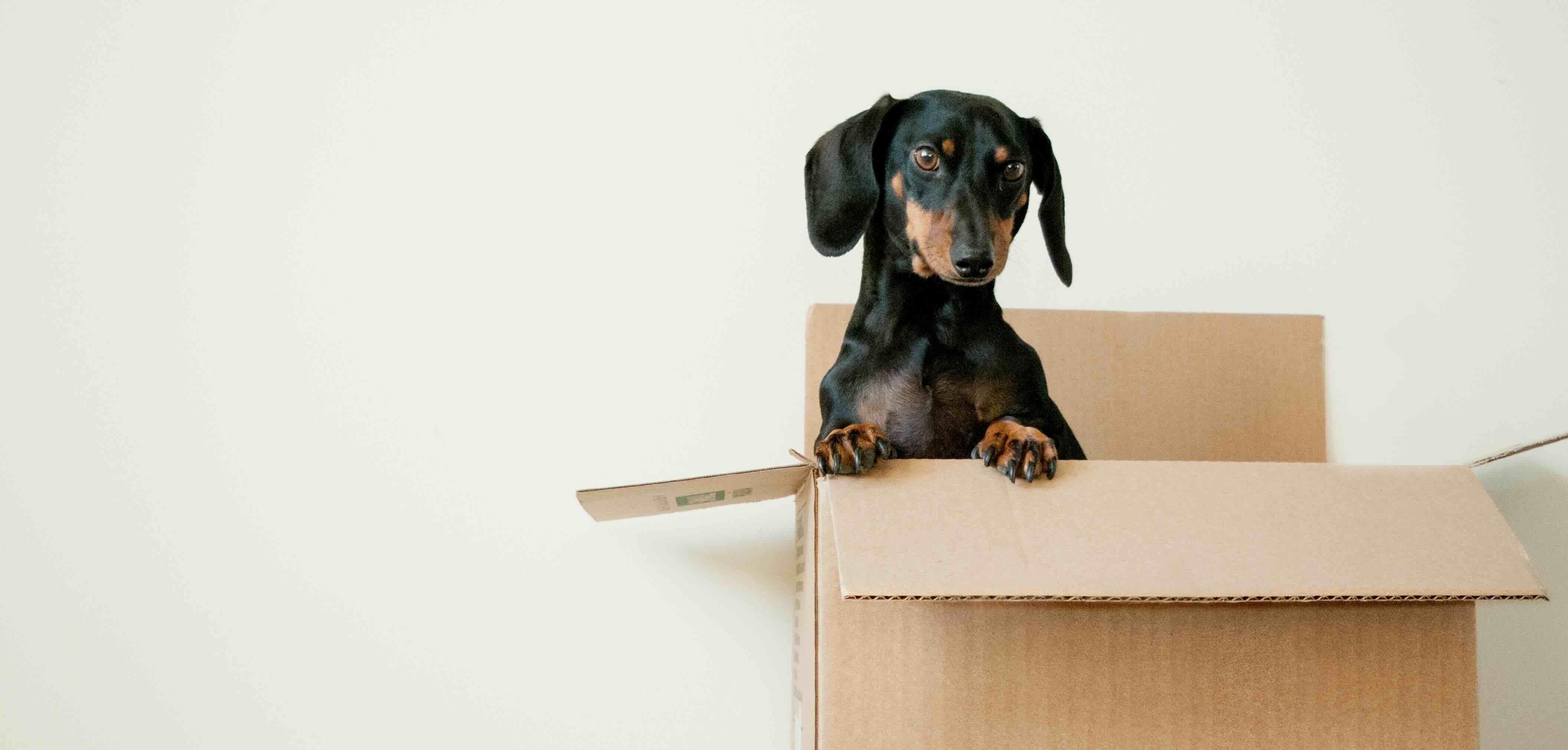 Office Relocation Project with Merlin Project