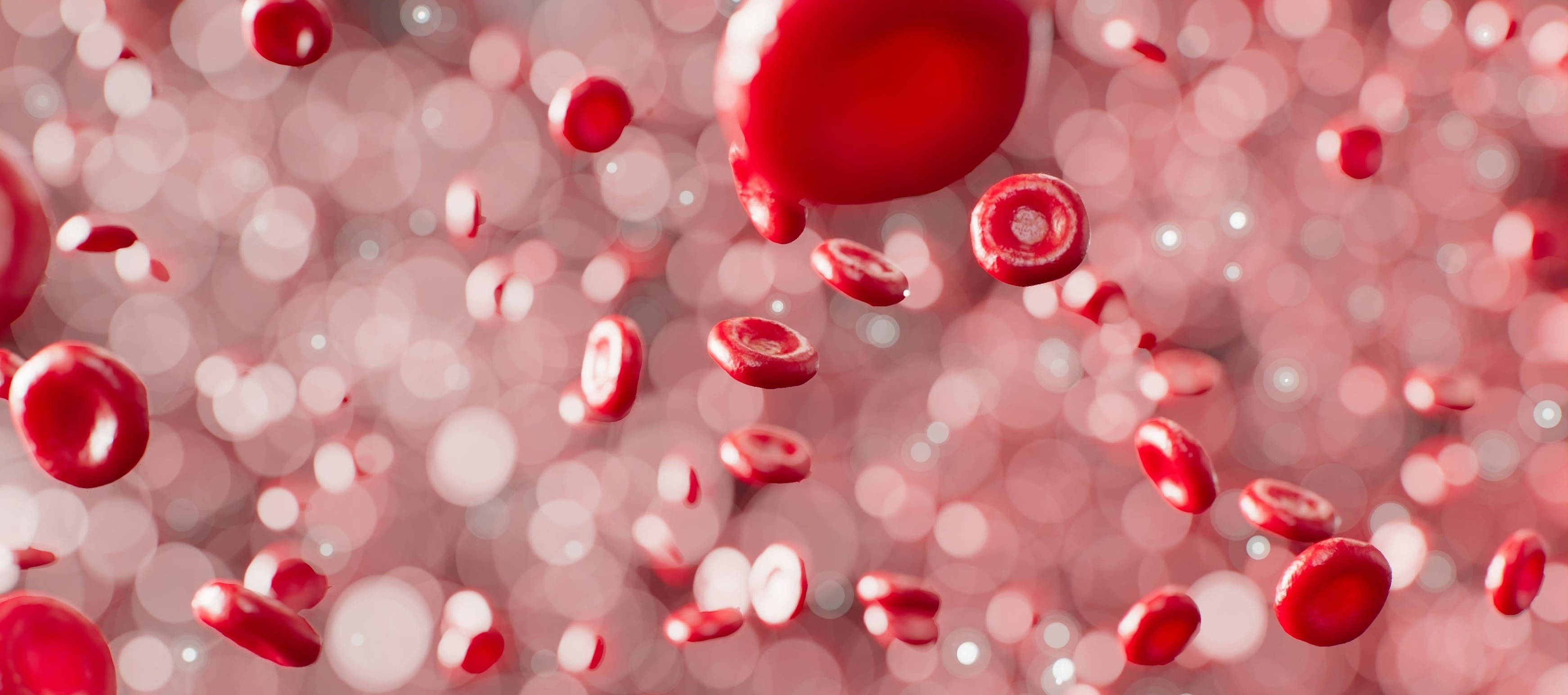 DKMS Spende in Dresden DKMS Spende in Dresden