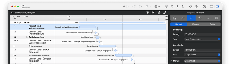 Budgeting in Merlin Project