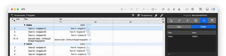 Paralleles Arbeiten mit Benutzerdefinierten Feldern und Gruppierungen sichtbar machen in Merlin Project