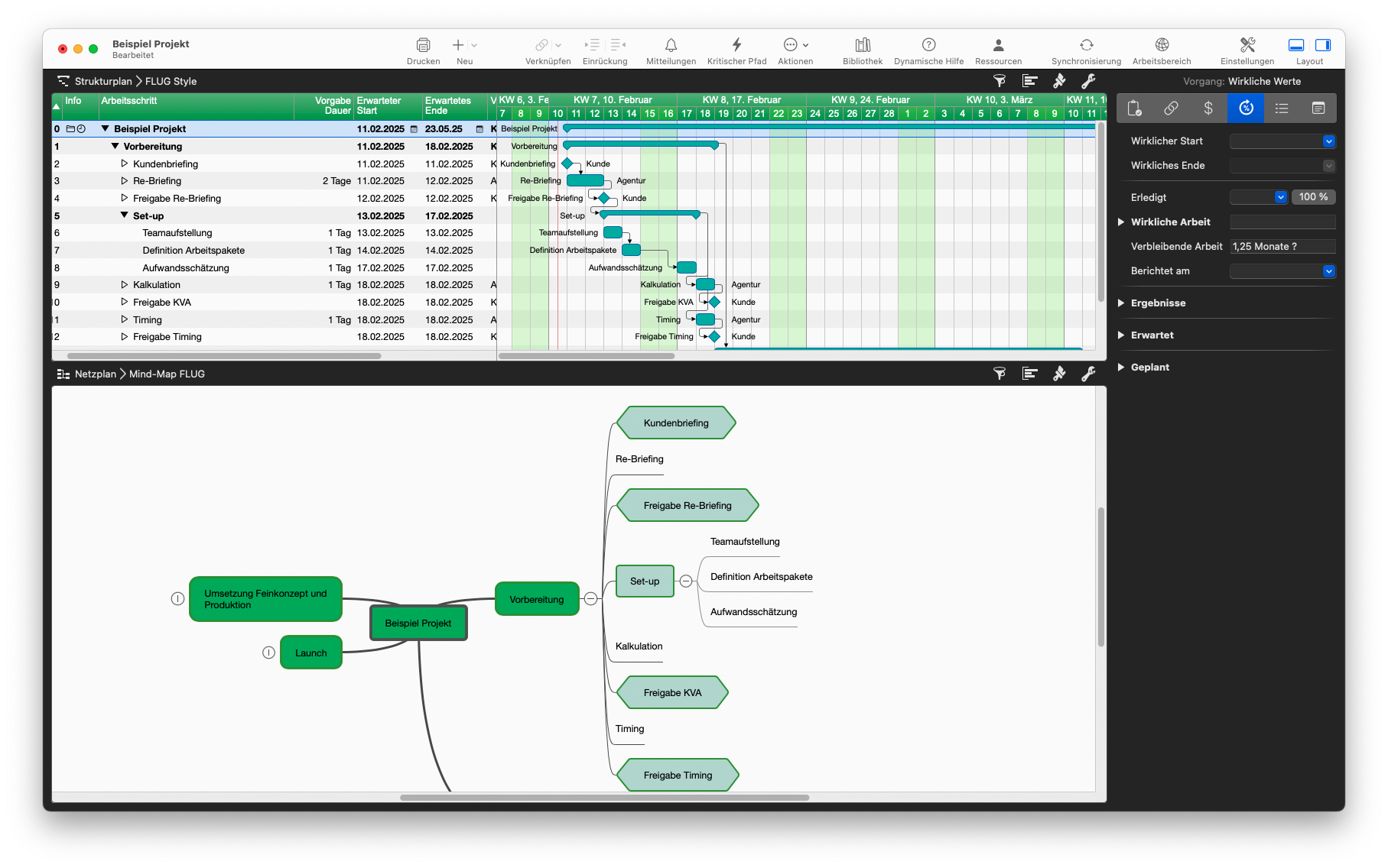Mindmap in Merlin Project
