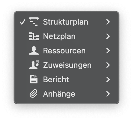Die Liste möglicher Ansichtstypen in der Funktionsleiste in Merlin Project