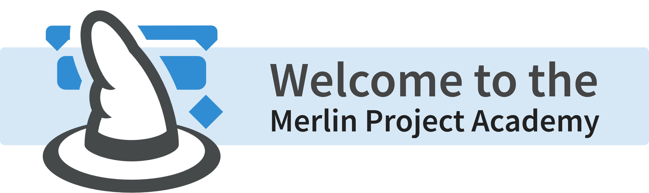 Welcome to the Merlin Project Academy