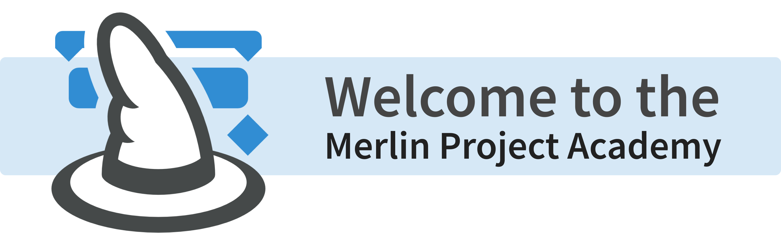 Bienvenue à la Merlin Project Academy