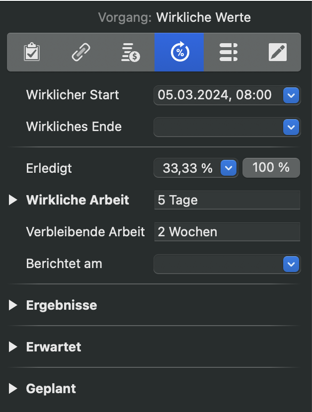 Der Inspektor für Ist-Werte in Merlin Project