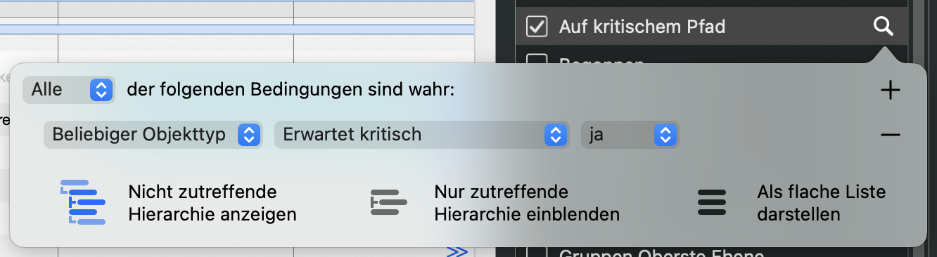 Wenn Sie auf die Lupe klicken, können Sie den Filter in Merlin Project anpassen