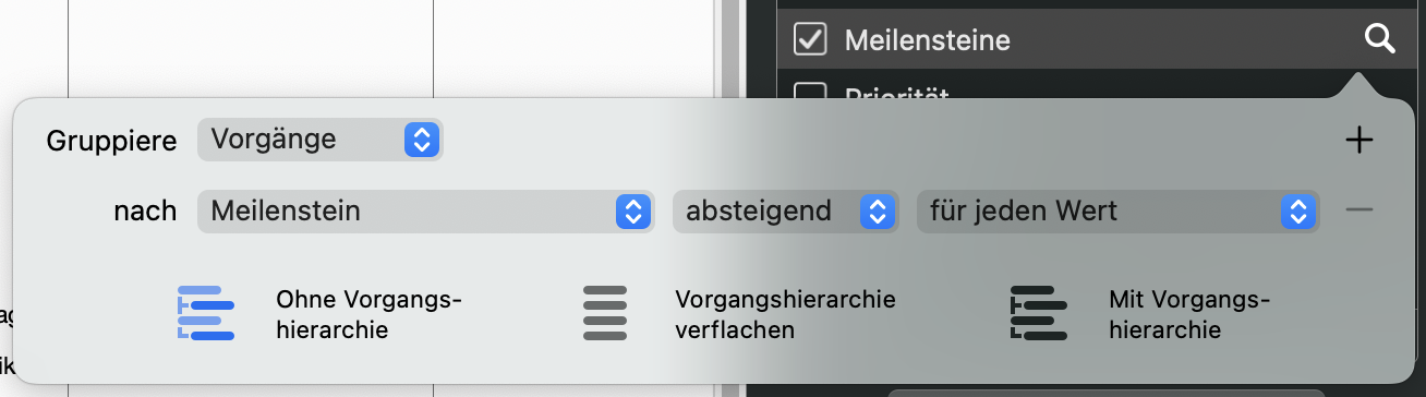 Wenn Sie auf die Lupe klicken, können Sie die Gruppierungen in Merlin Project anpassen