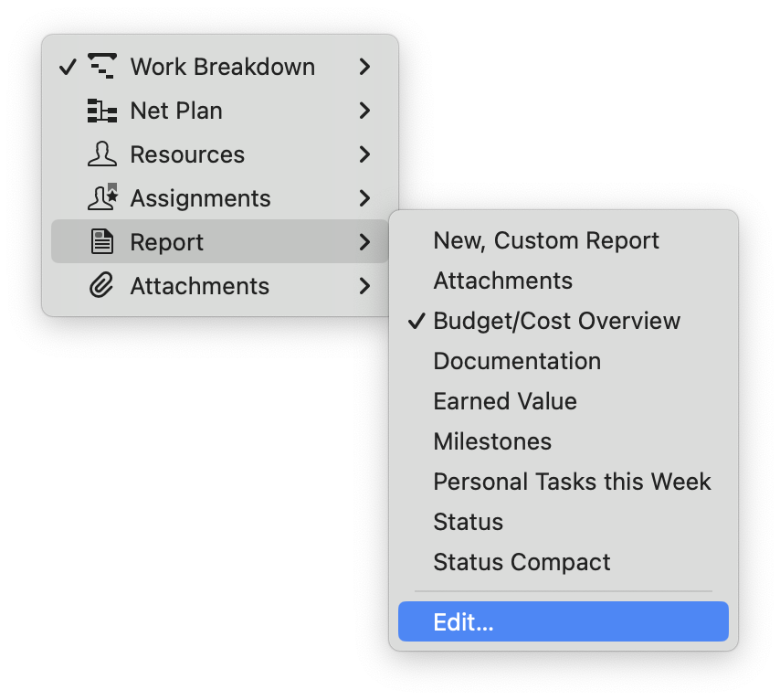How to navigate to the report view type in Merlin Project