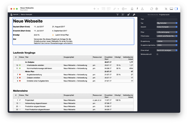 Reports in Merlin Project