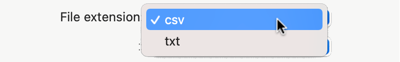 Choose File extension Choose File extension