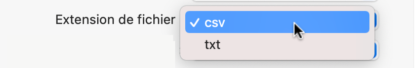 Choisissez l'extension du fichier