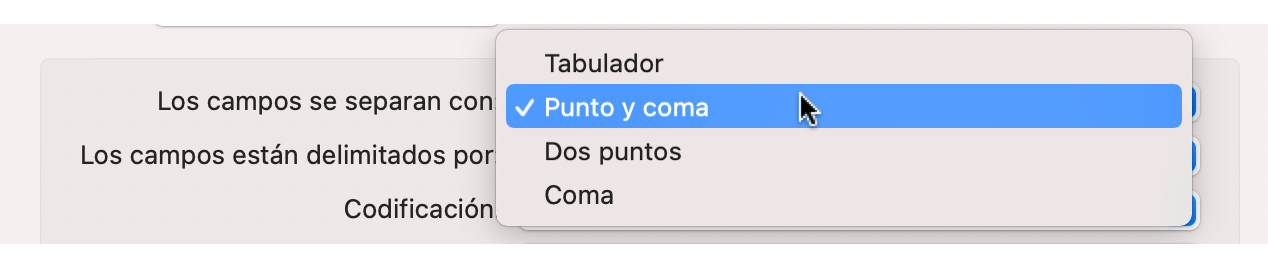 Elegir separador Elegir separador