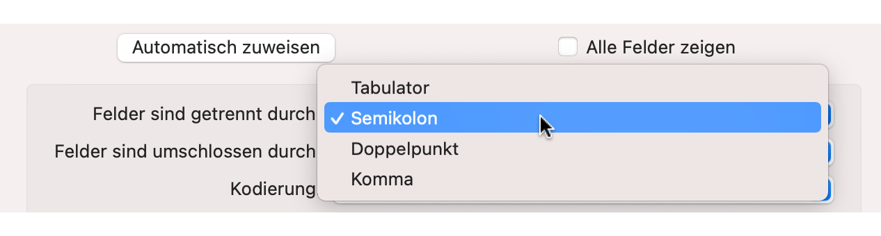 Trennzeichen auswählen