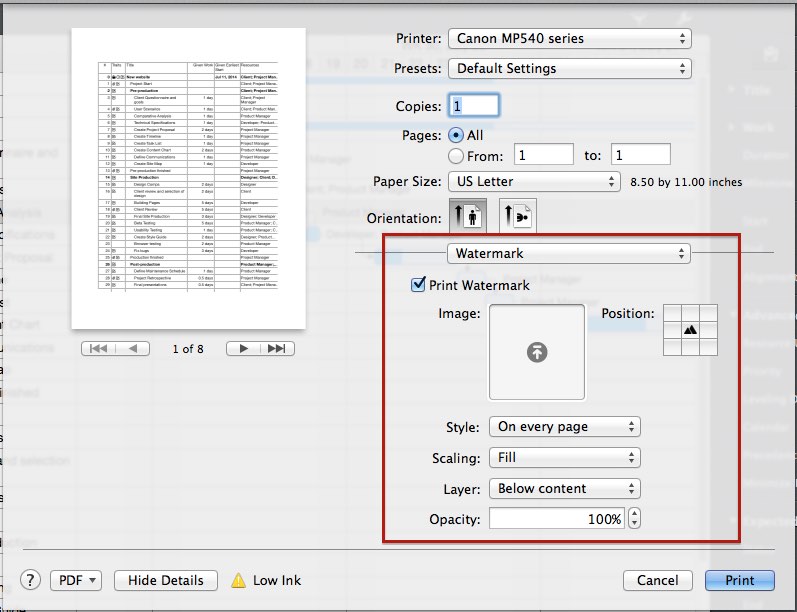 Watermark in Merlin Project