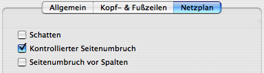 Druckoptionen des Netzplans