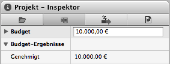Direkt zugewiesenes Budget